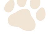 paw background