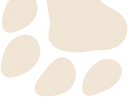 paw background